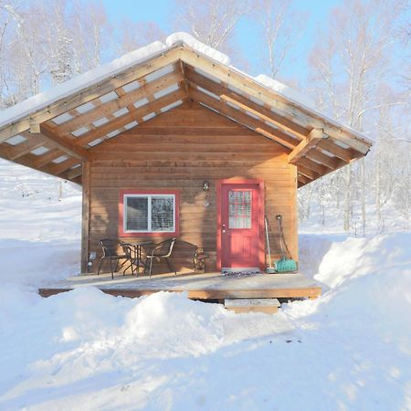 Spruce Cabin Талкитна Екстериор снимка