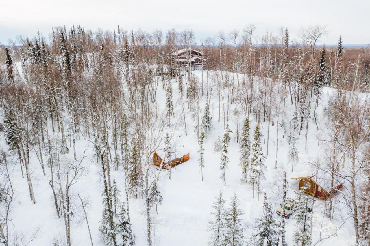 Spruce Cabin Талкитна Екстериор снимка